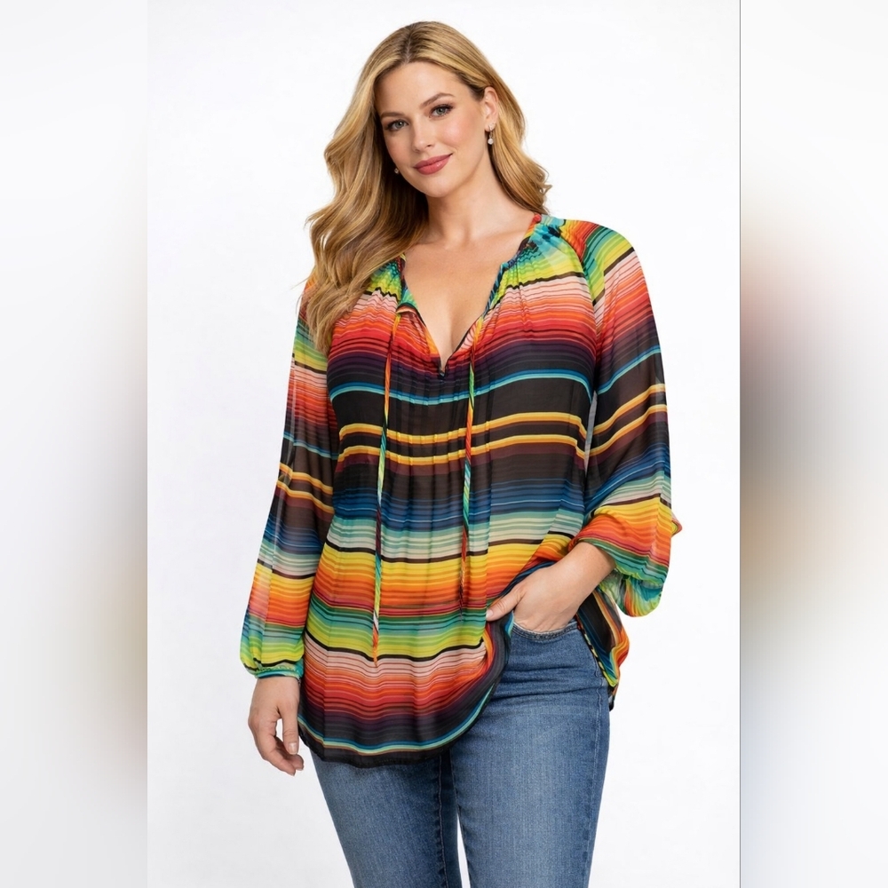 BELLEFLEUR Multi color sheer  top